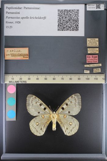 Media type: image;   Entomology 210419